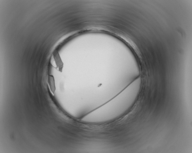 X0000113620984200910161949