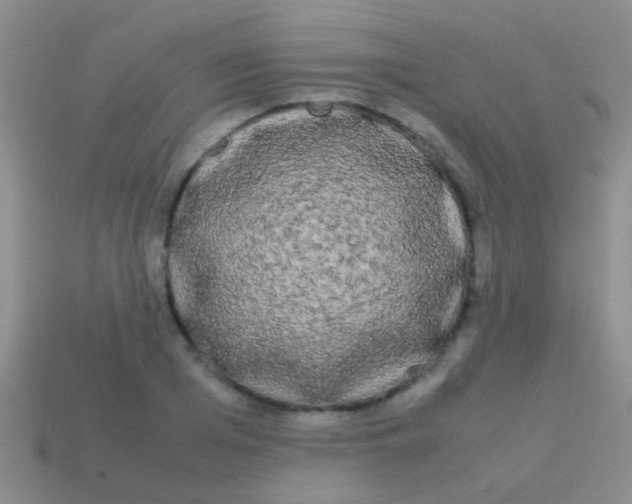 X0000113620985200910161949