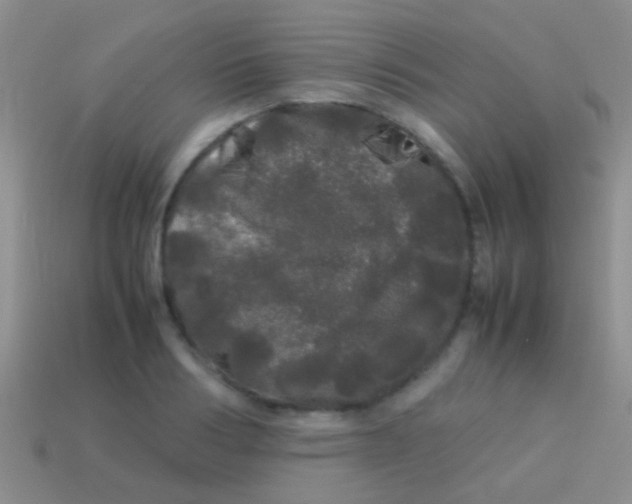 X0000113620986200910161949