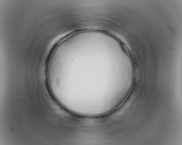 X0000113620987200910161949