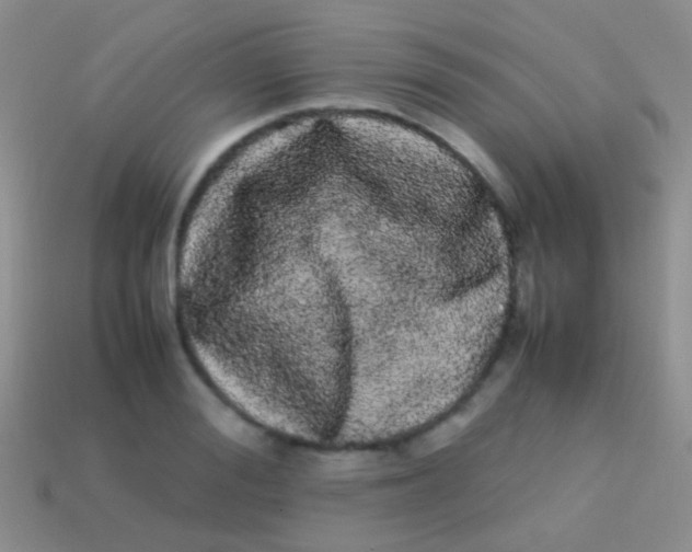 X0000113620988200910161949