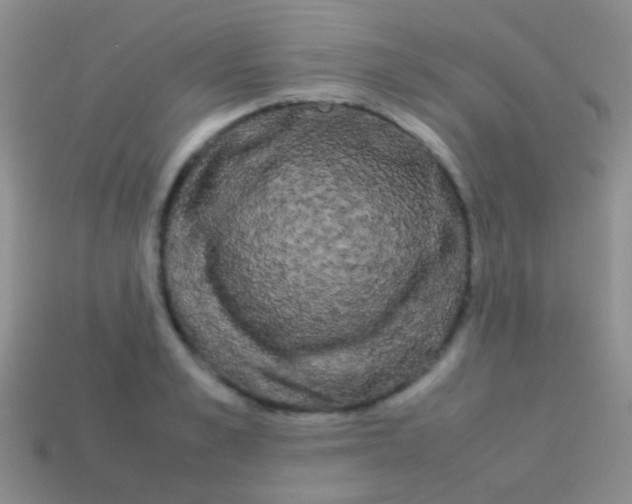 X0000113620989200910161949