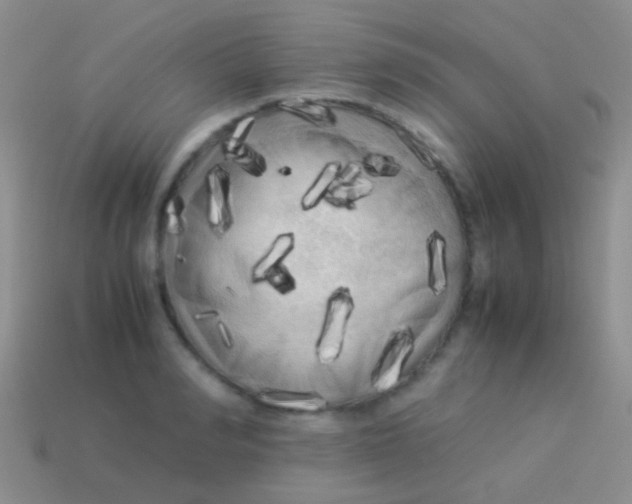 X0000113620990200910161949