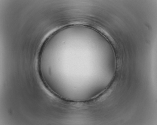 X0000113620991200910161949