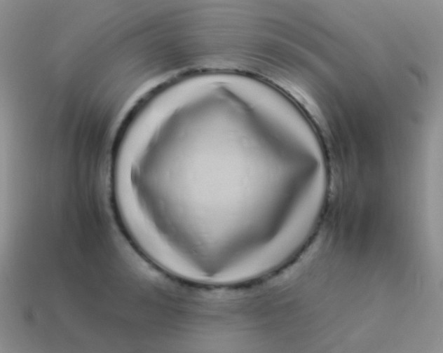X0000113620992200910161949