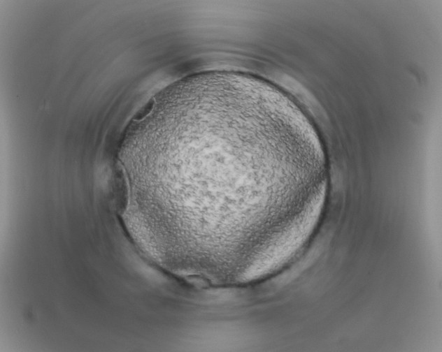 X0000113620993200910161949