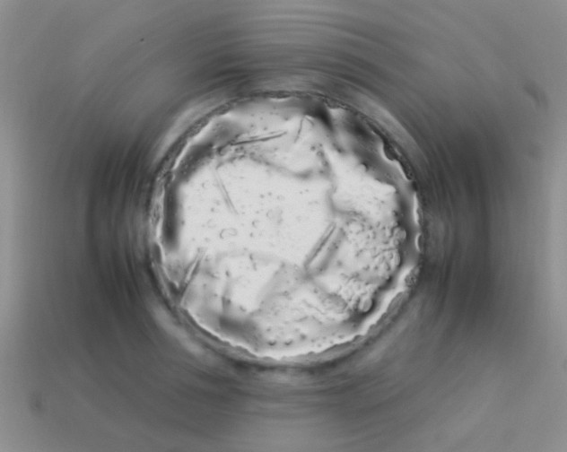 X0000113620994200910161948