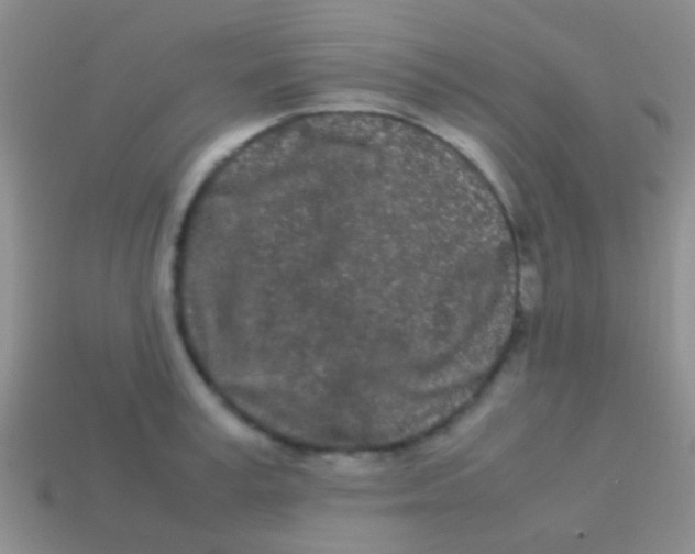 X0000113620995200910161948