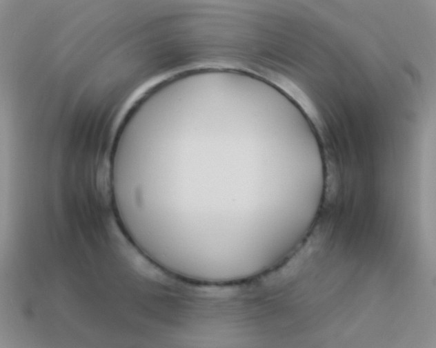 X0000113620996200910161948