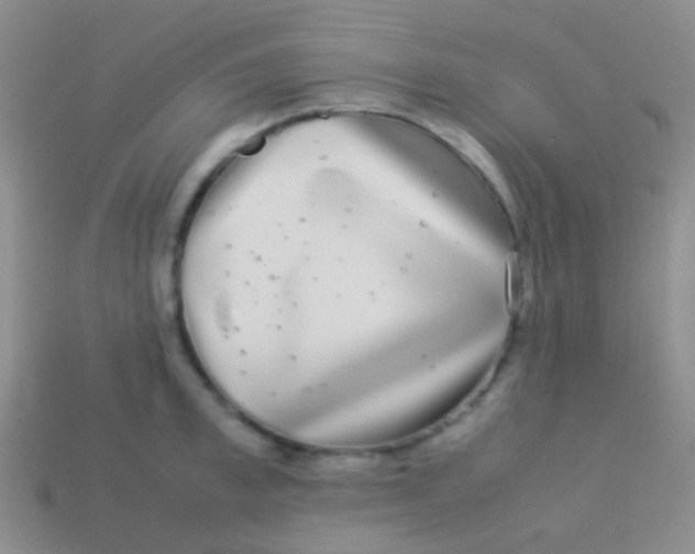 X0000113620997200910161948