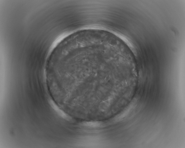 X0000113620998200910161948
