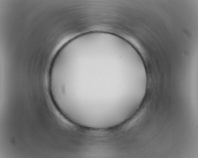 X0000113620999200910161948