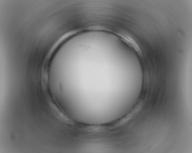 X0000113621000200910161948