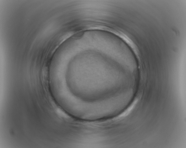 X0000113621001200910161948
