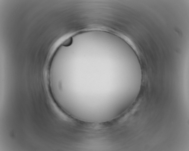 X0000113621003200910161948