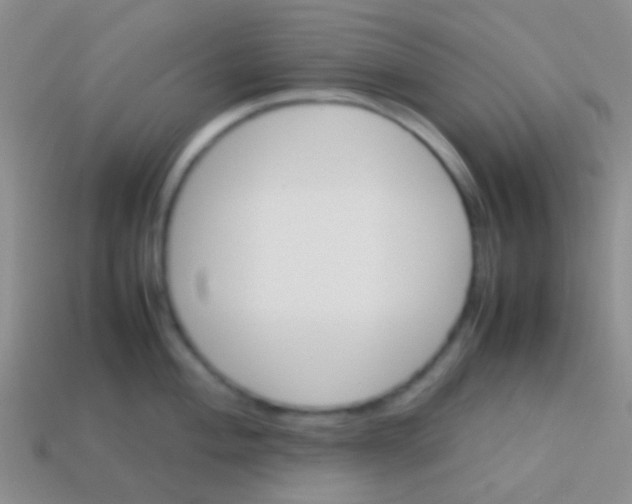 X0000113621004200910161948