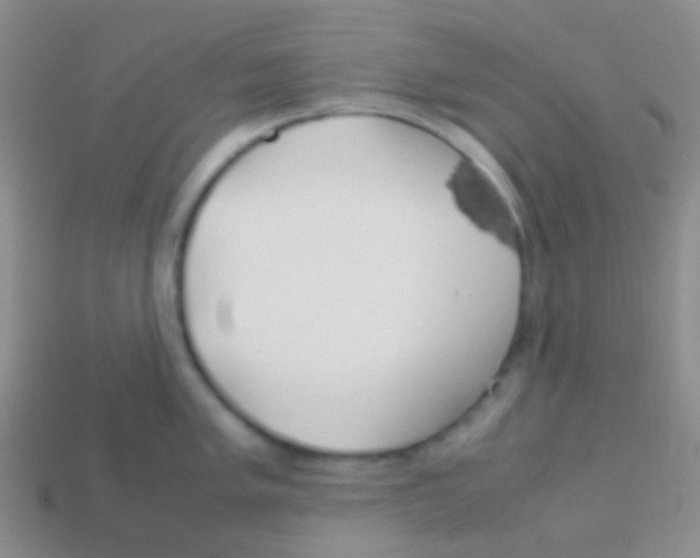 X0000113621005200910161948