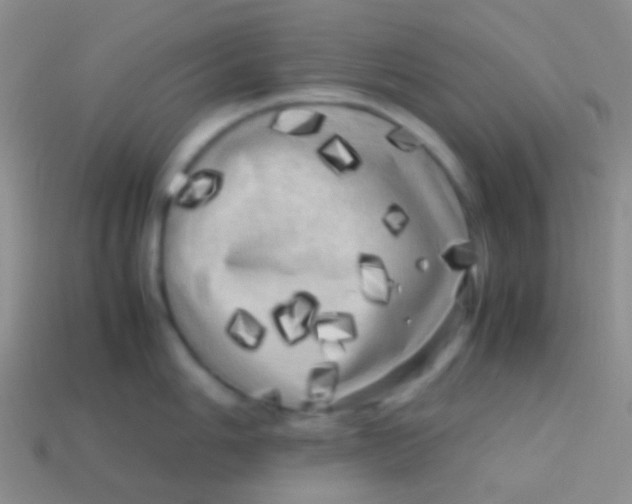 X0000113621006200910161948