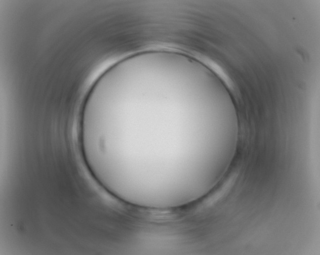 X0000113621007200910161948