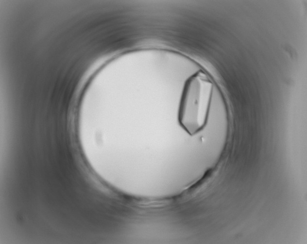 X0000113621008200910161948