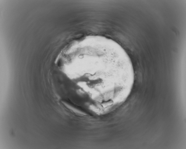 X0000113621009200910161948