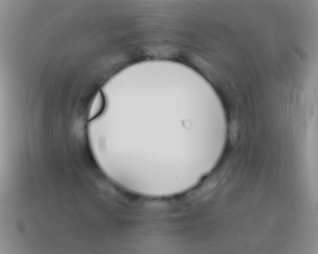 X0000113621010200910161948