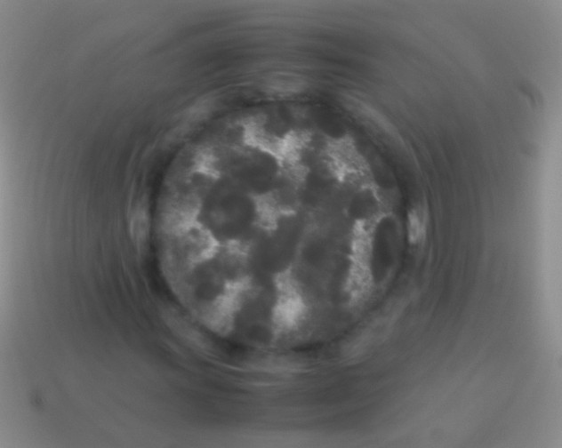 X0000113621011200910161948