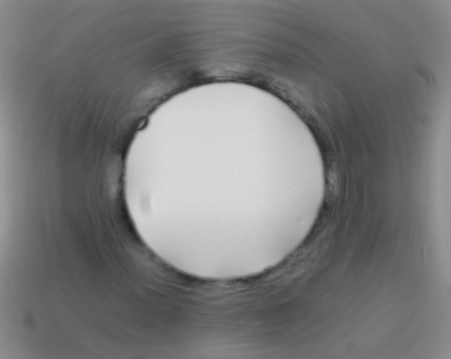 X0000113621012200910161948