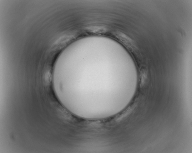 X0000113621014200910161948