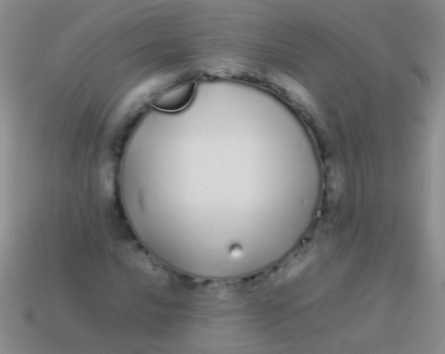 X0000113621016200910161948