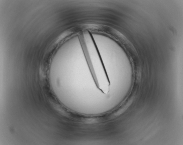 X0000113621017200910161948