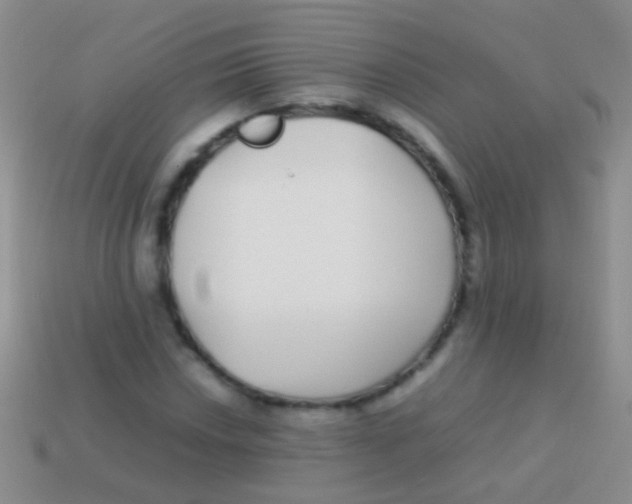 X0000113621018200910161948