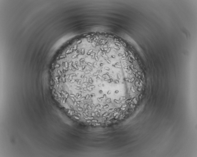 X0000113621019200910161948