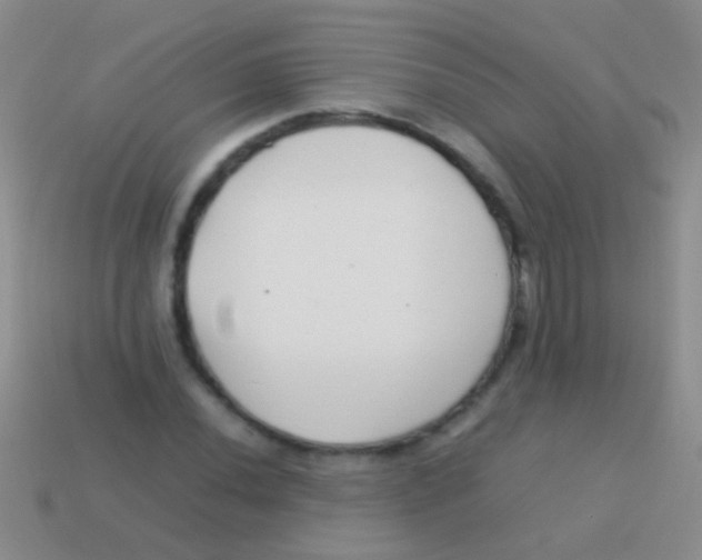 X0000113621020200910161948