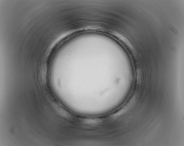 X0000113621021200910161948