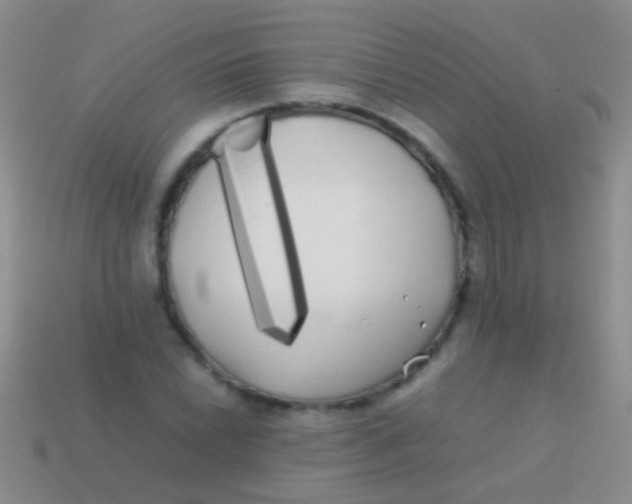 X0000113621022200910161948