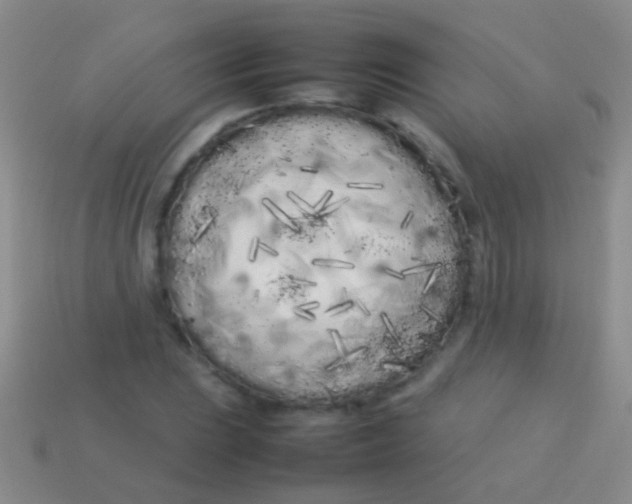X0000113621023200910161948