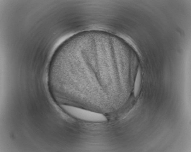 X0000113621024200910161948