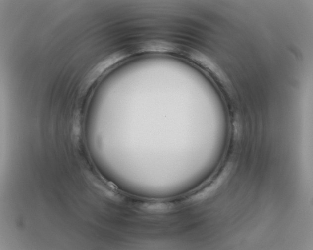 X0000113621025200910161948