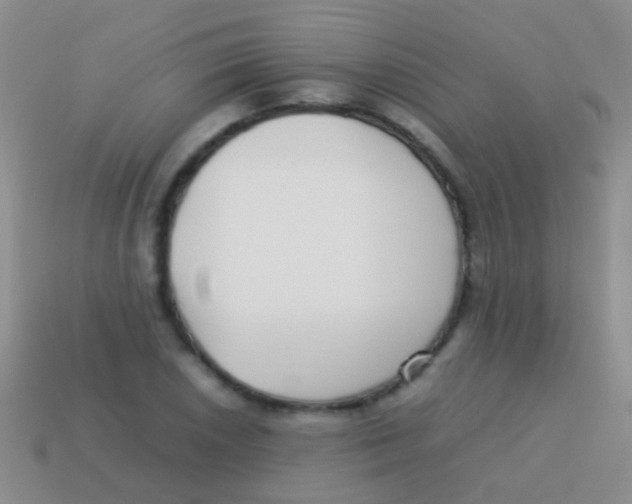 X0000113621026200910161948