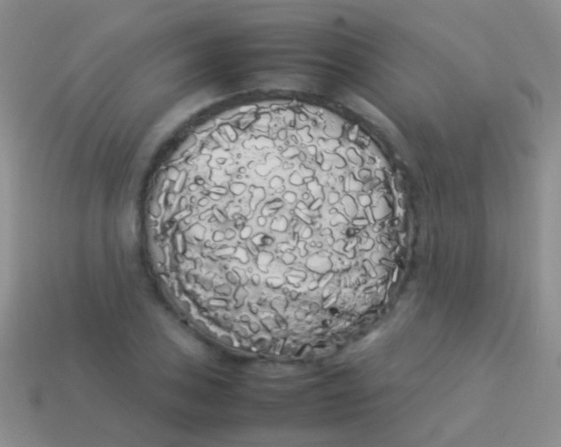 X0000113621027200910161948