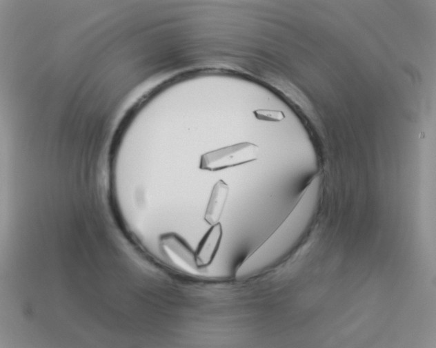 X0000113621028200910161948