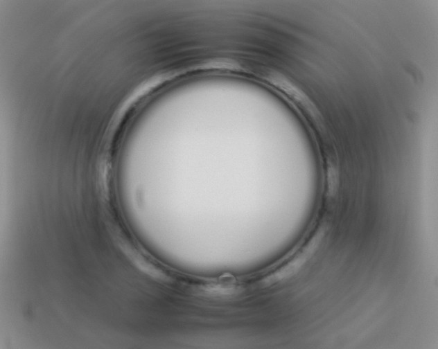 X0000113621029200910161948