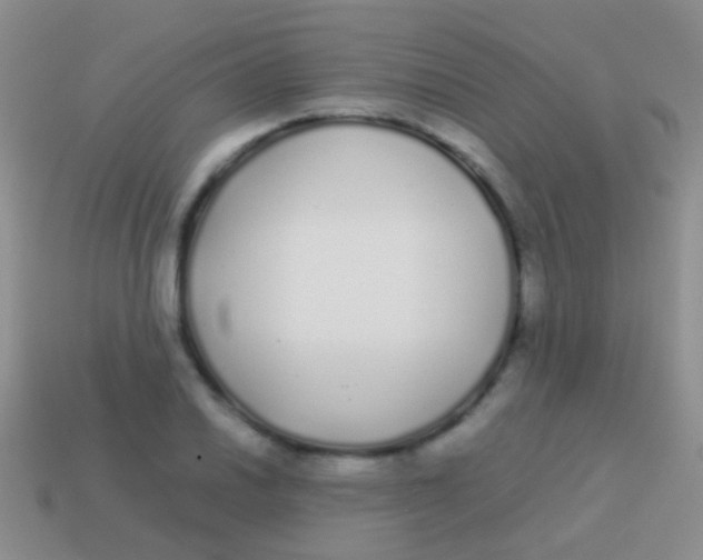 X0000113621030200910161948