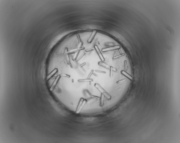 X0000113621031200910161948