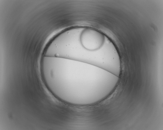 X0000113621032200910161948