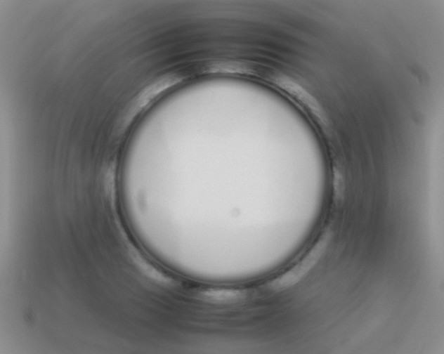 X0000113621033200910161948