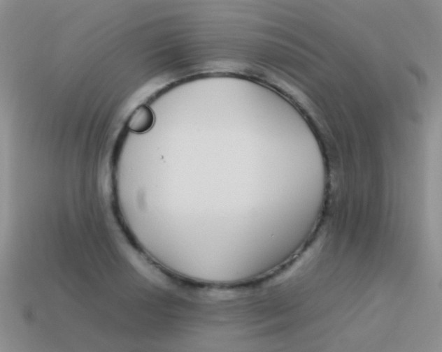 X0000113621034200910161948