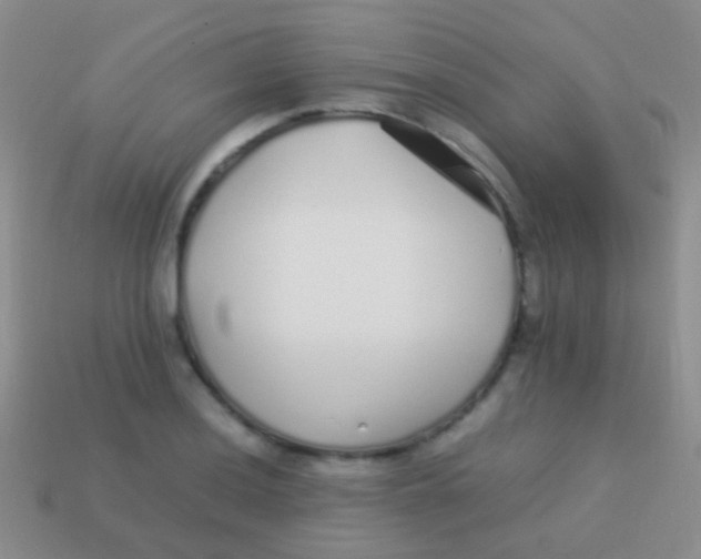 X0000113621036200910161948