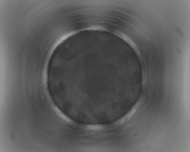 X0000113621037200910161948